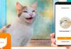 Cat-English Translator MeowTalk